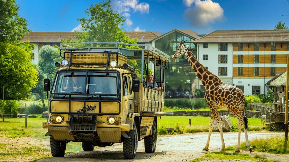 Chessington World of Adventures Resort Hotel