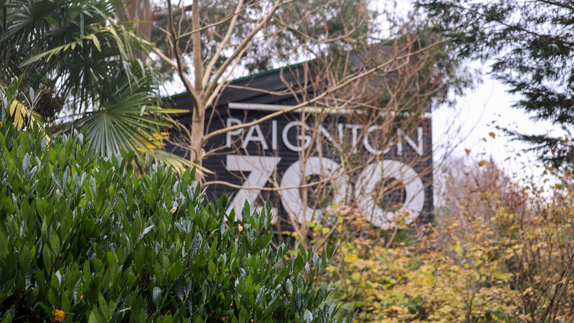 Paignton Zoo - Sign