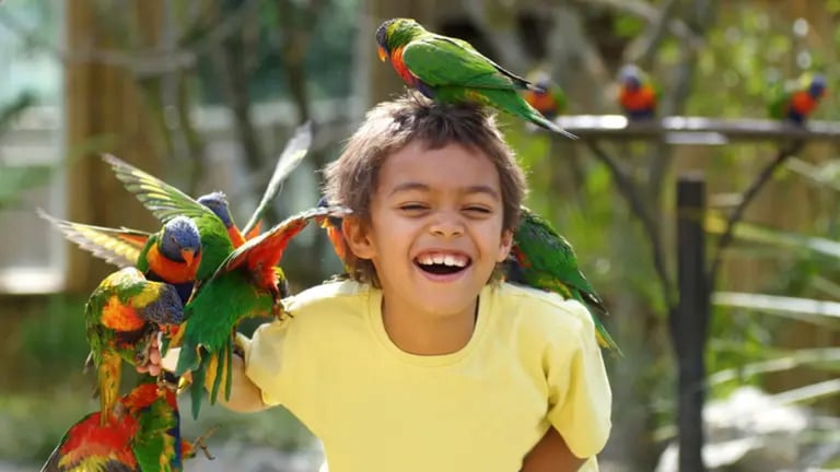 Drusillas Park