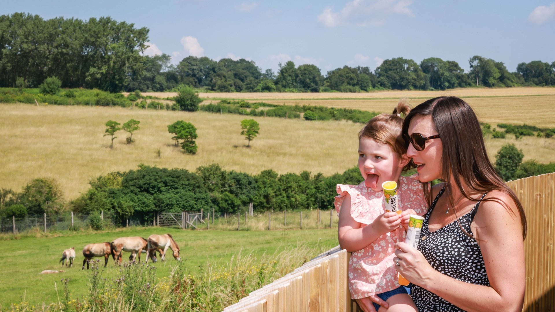 Marwell Zoo - Cafe Graze view to valley field