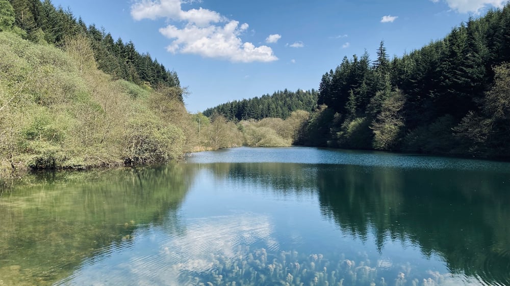 Dalby Forest - Beautiful Scenery