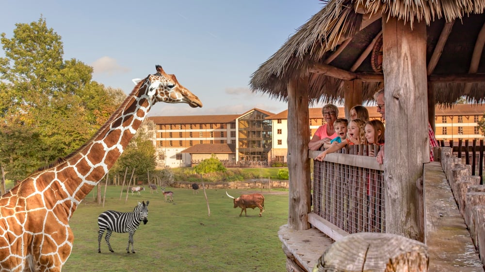 Chessington World of Adventures - Wanyama View