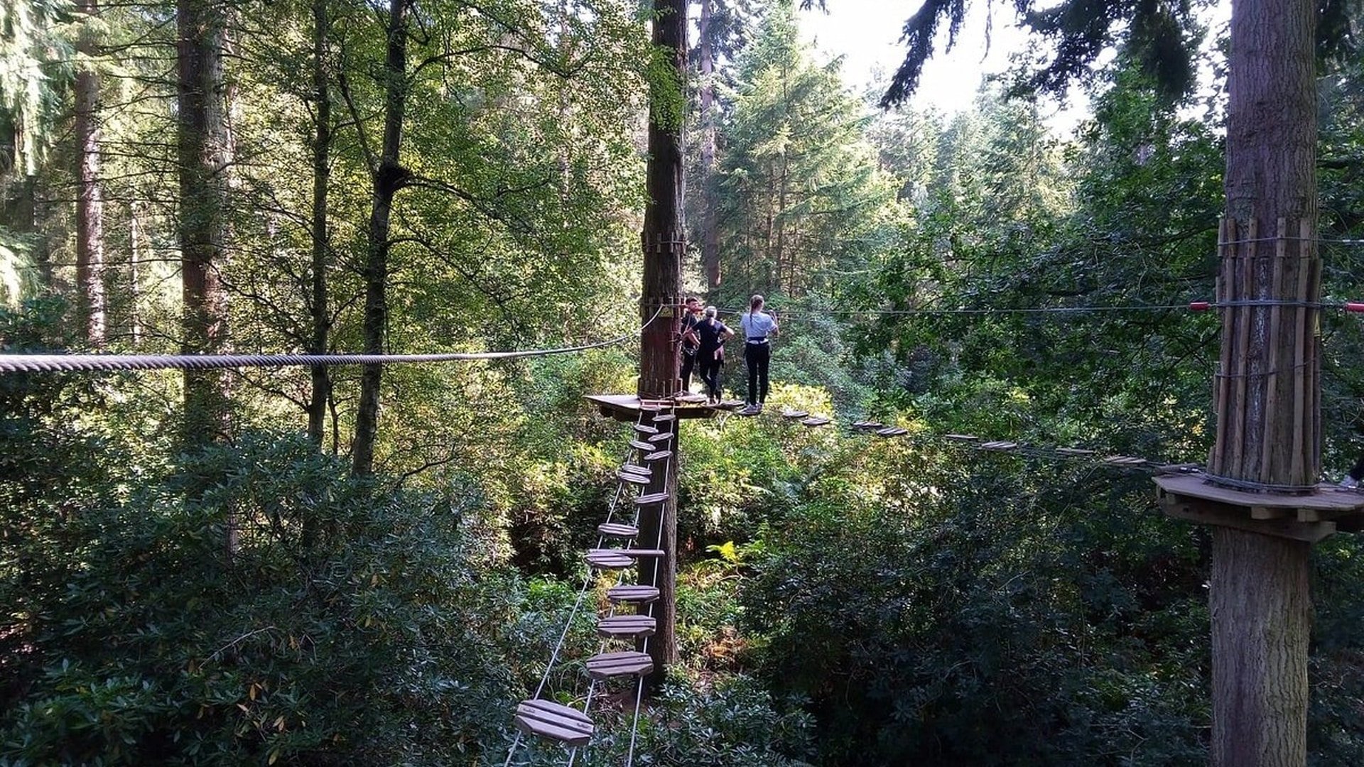 Go Ape Thetford Forest - Stunning Forest Views