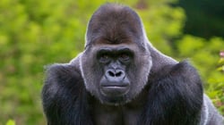 Paignton Zoo