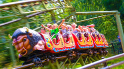 Twinlakes Park - Buffalo Stampede