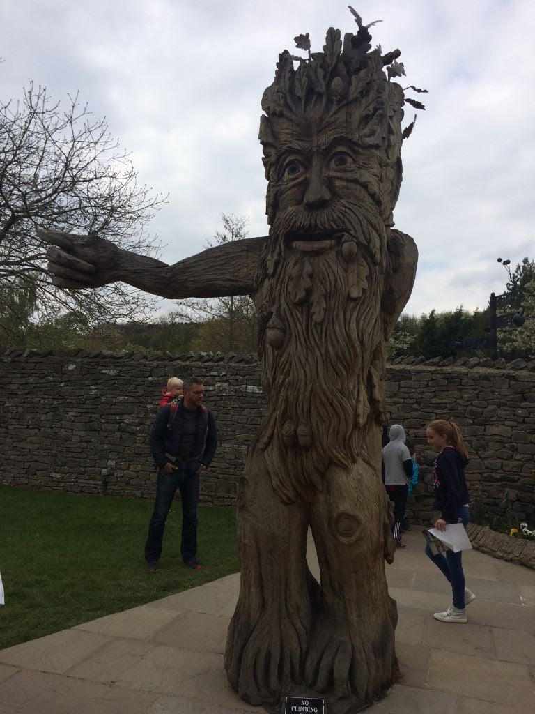 The Forbidden Corner Tree Carving