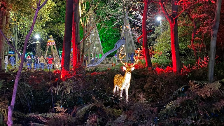 Stockeld Park Christmas Adventure Reindeer 768x432