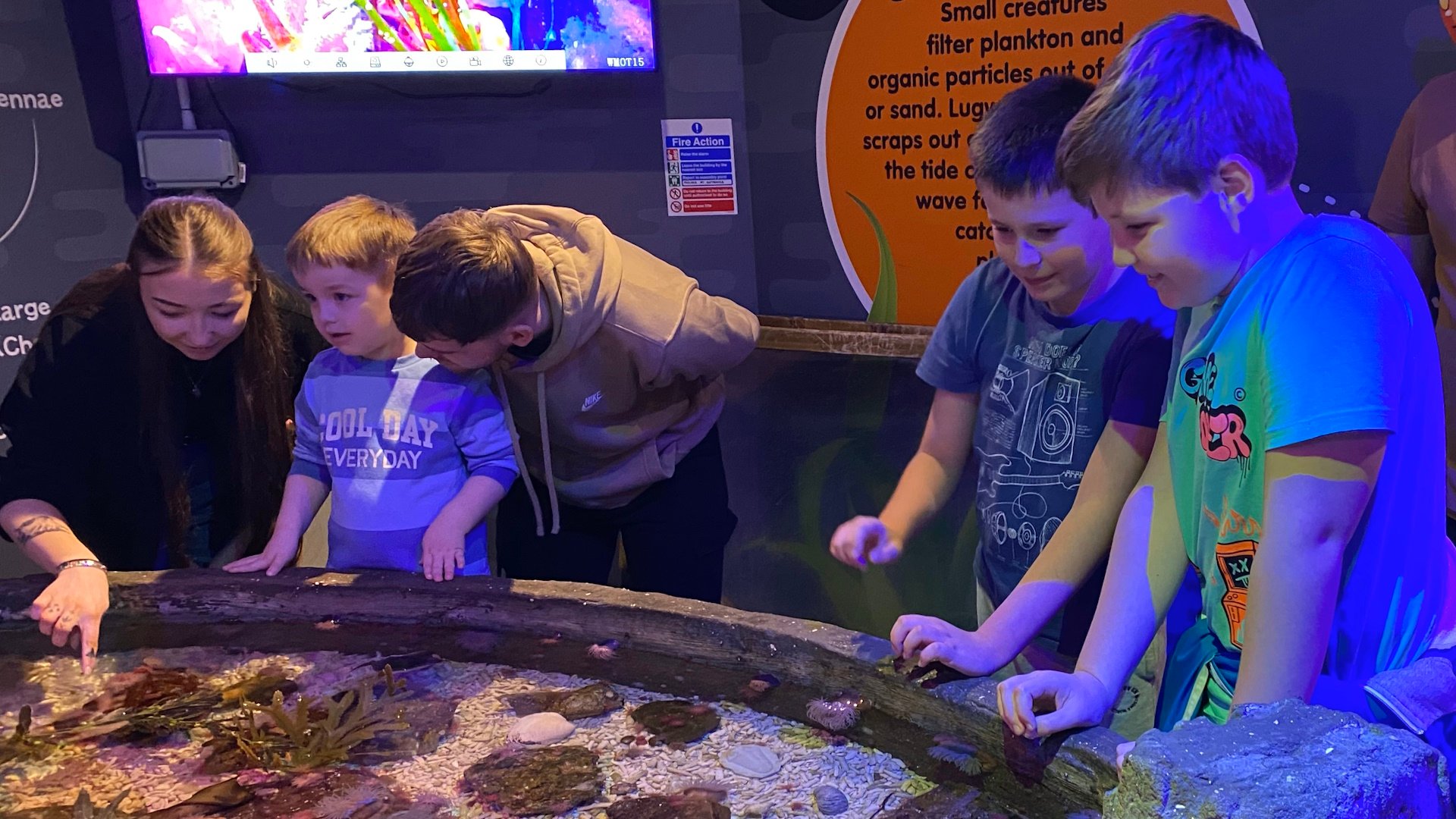 SEA LIFE Scarborough - Rockpool