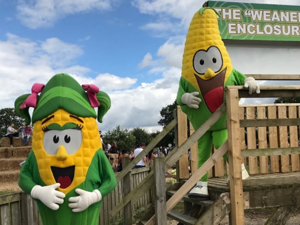 York Maze - Characters