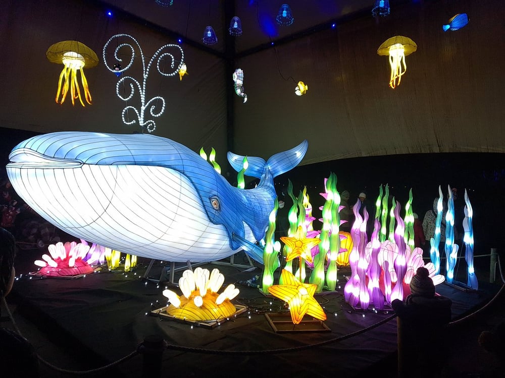 Yorkshire Wildlife Park - Winter Illuminations Whale