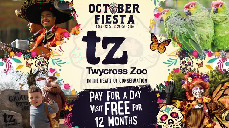 Twycross Zoo Dia de Los Muertos Event 768x432