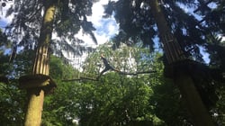 Go Ape Thetford Forest