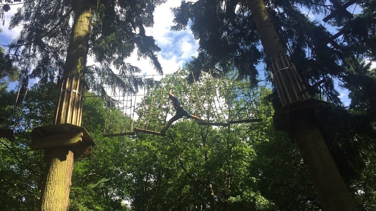 Go Ape Thetford Forest Treetop Challenges 768x432