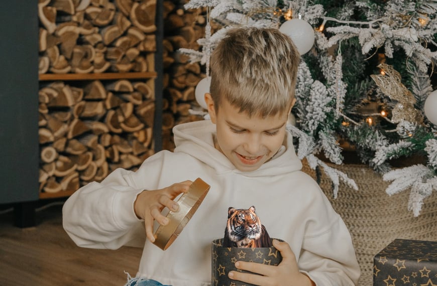 Christmas Gift Ideas
