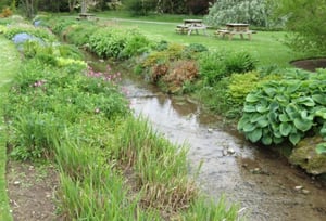 Picnic Area - Thorp Perrow Arboretum Wildlife Park