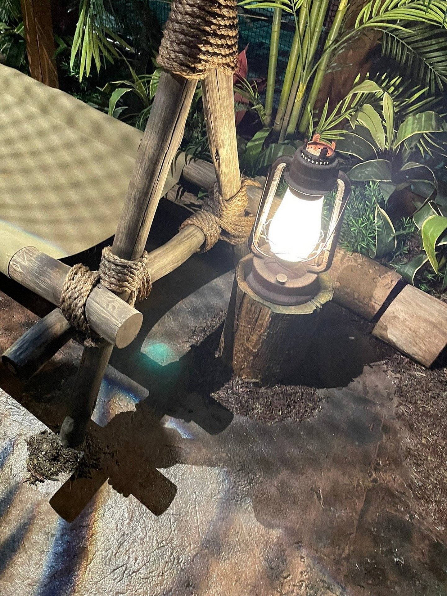 I'm a Celebrity Jungle Challenge - Camp