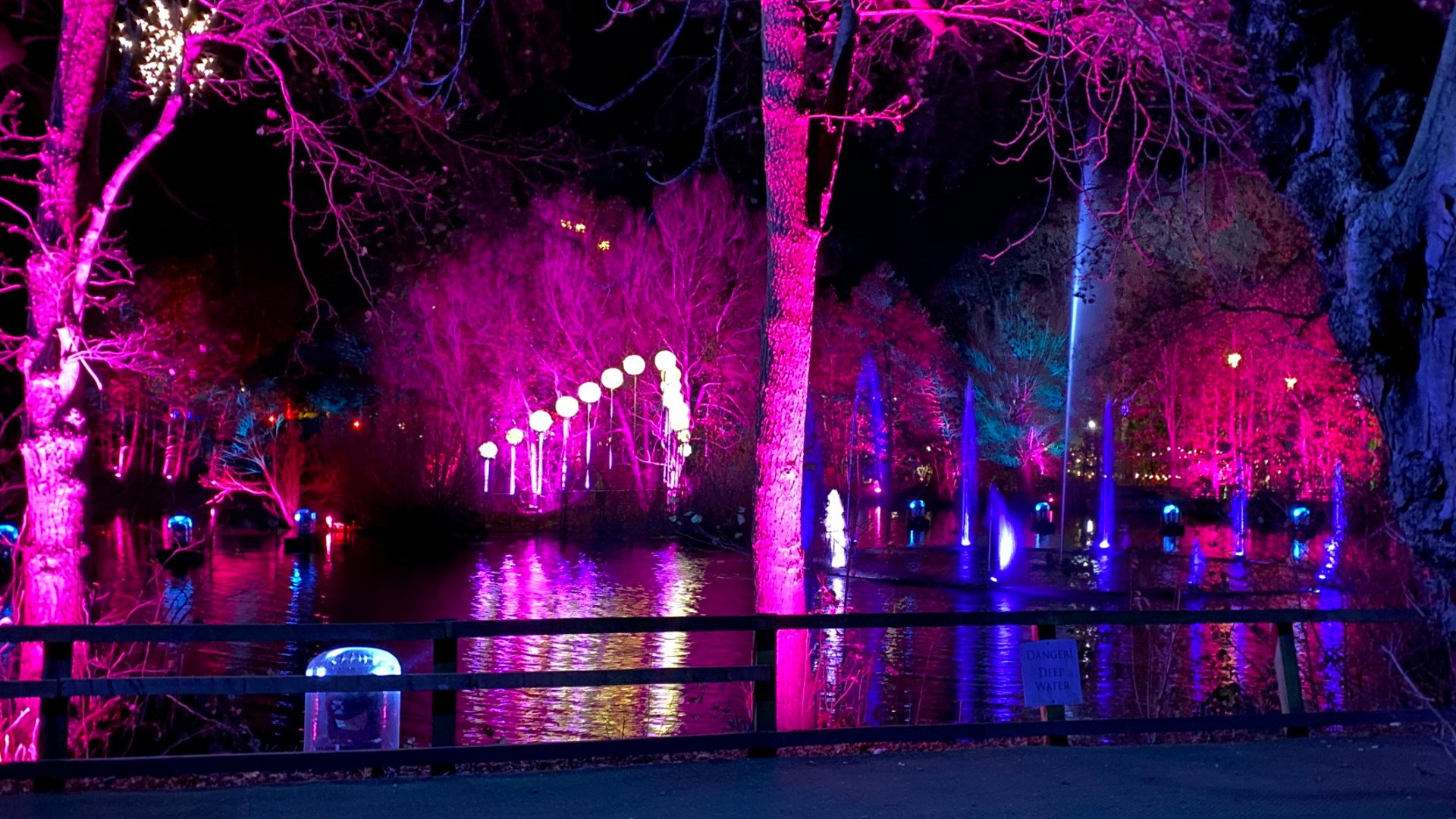 Stockeld Park - Enchanted Forest