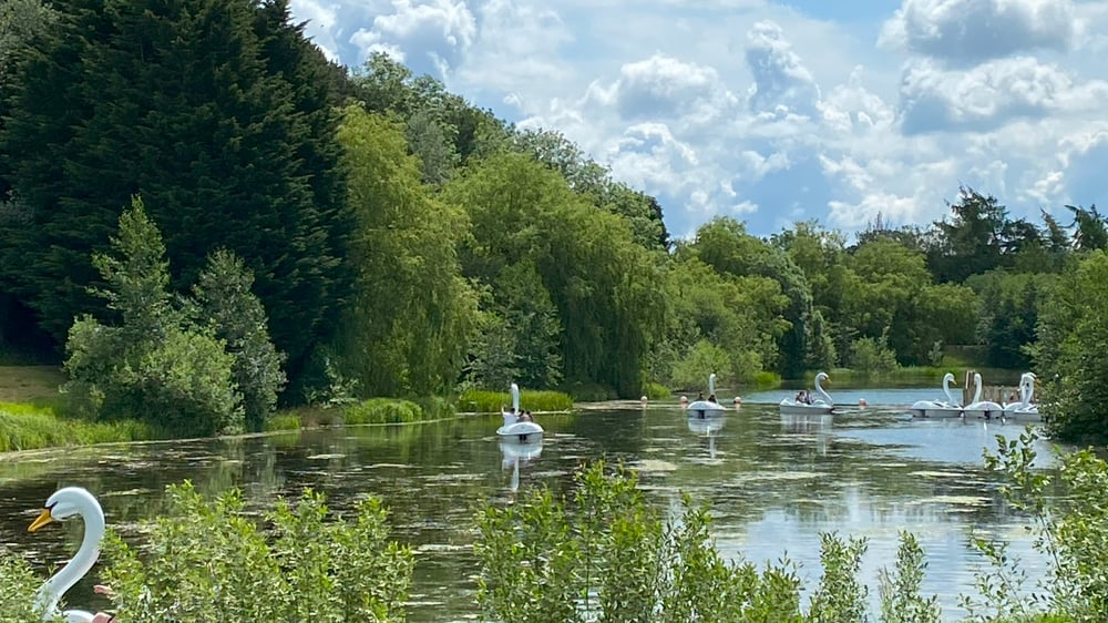 Lightwater Valley - Swan Pedalos