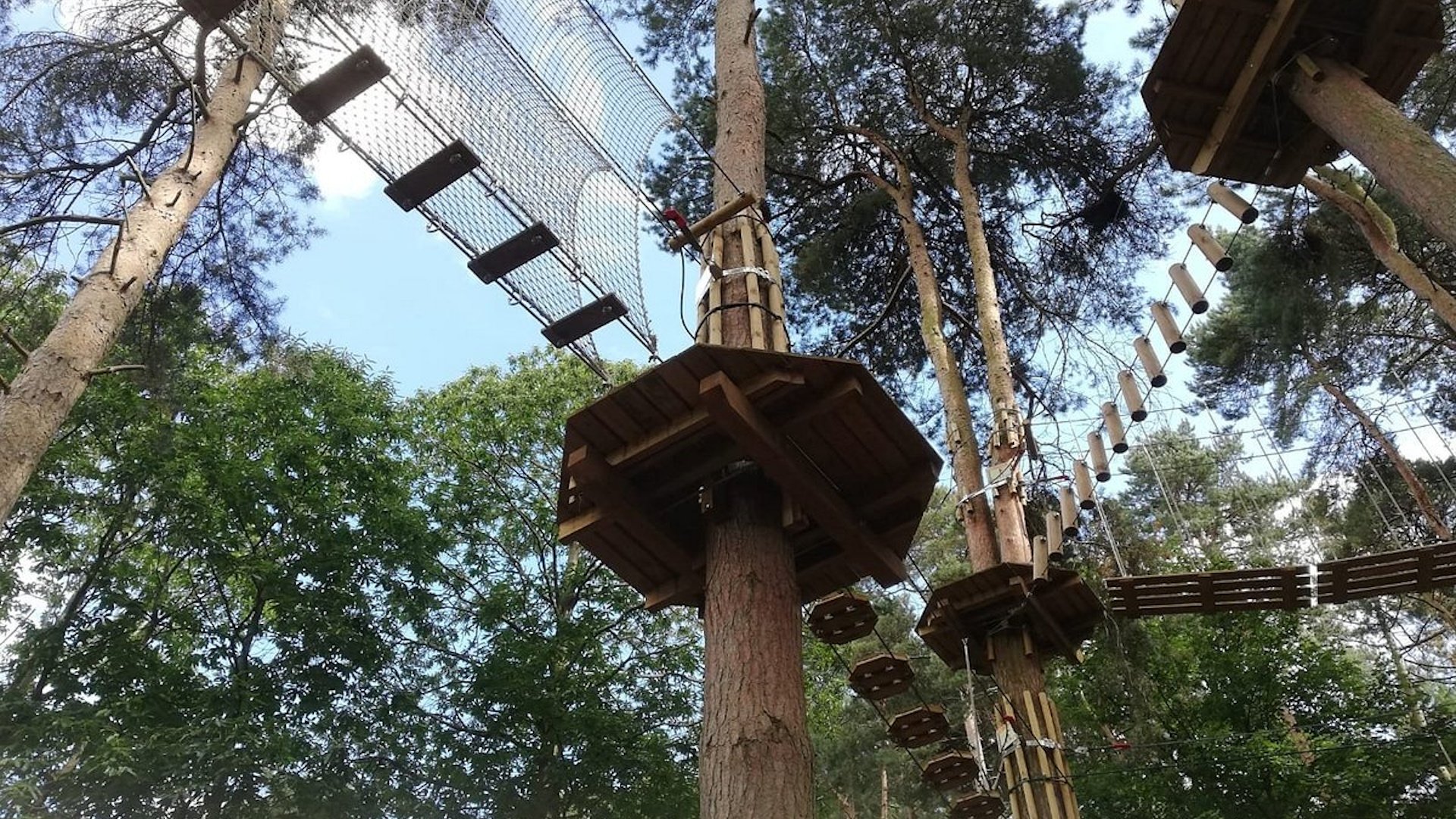 Go Ape Coventry - Treetop Course