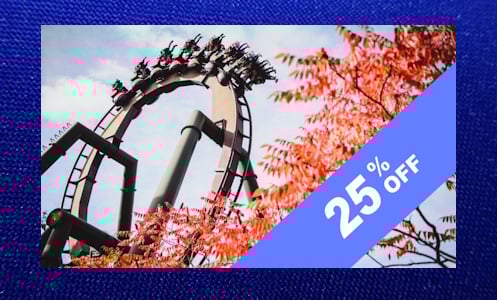 25% Off Great Days Out
