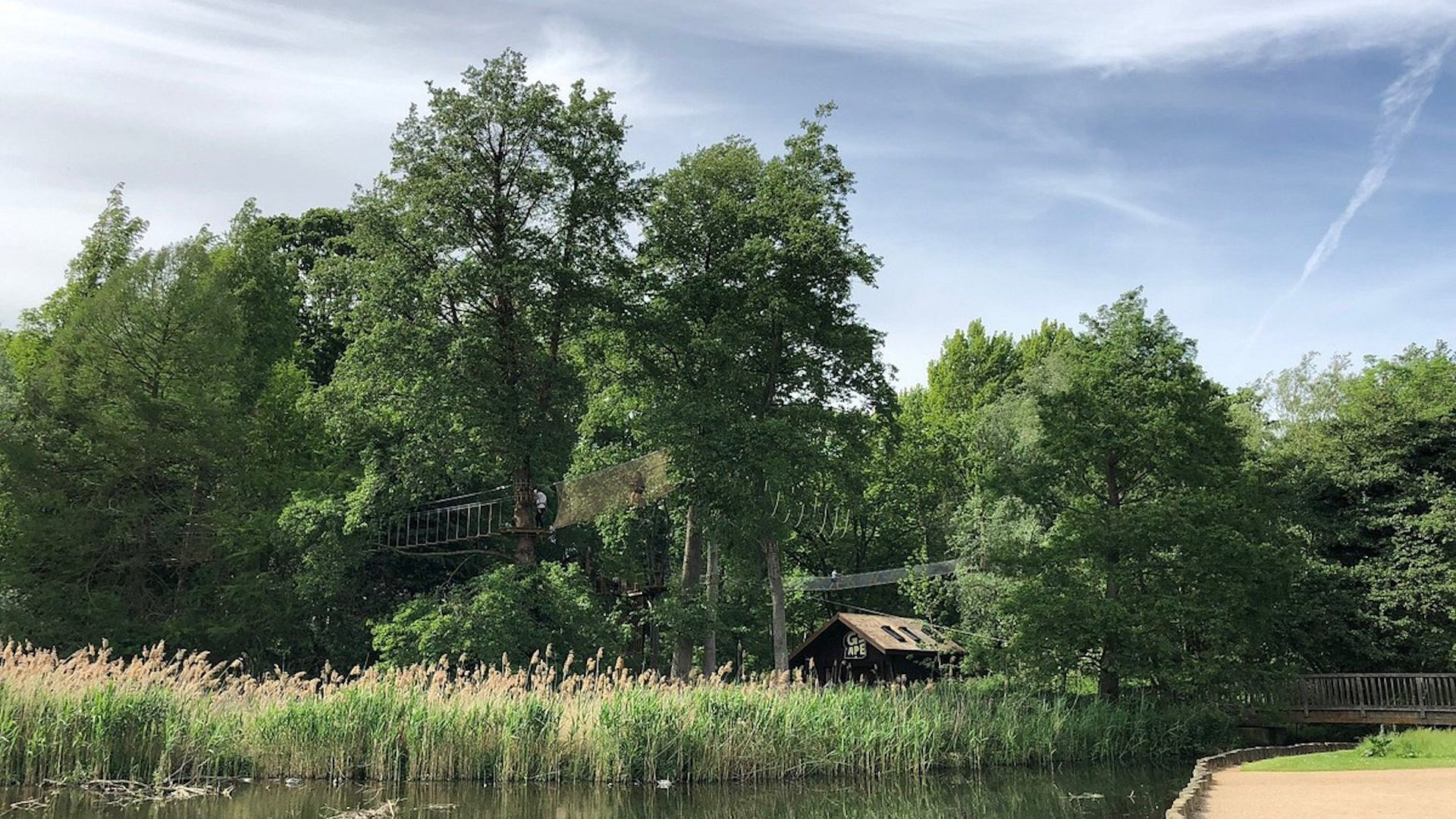 Go Ape Coventry - Treetop Adventures