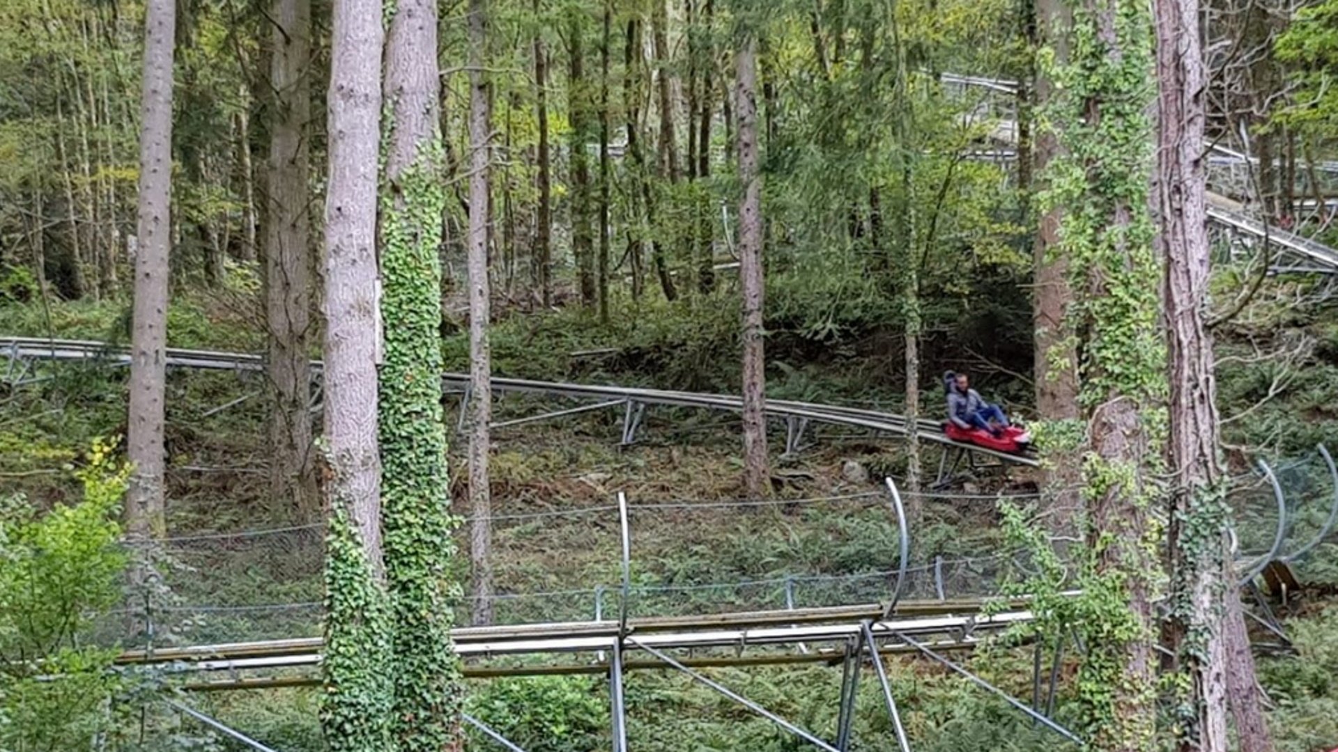 Zip World - Fforest Coaster Forest Track