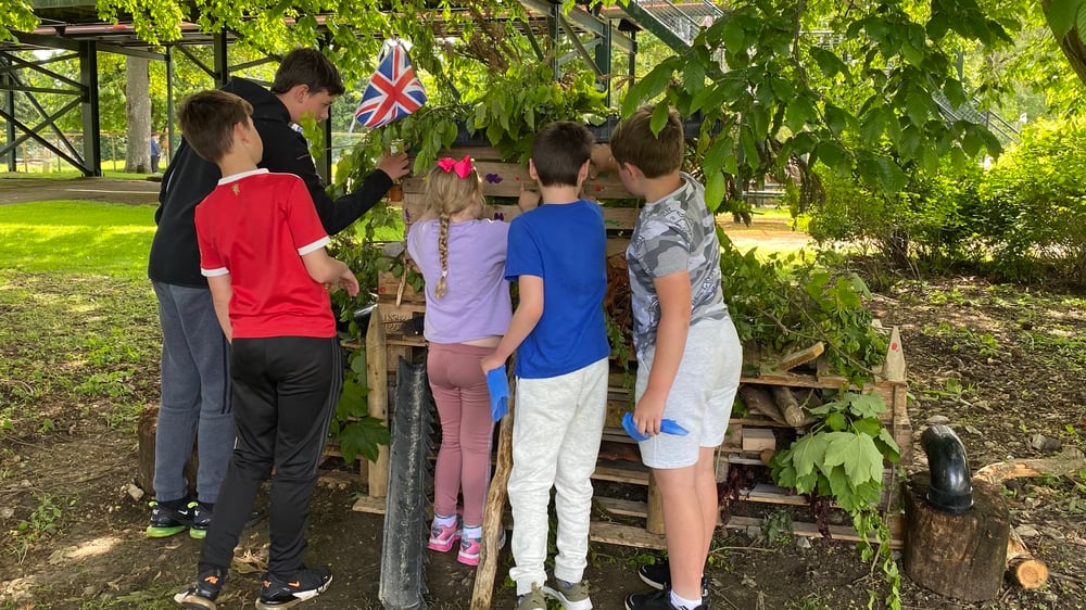 Building a Bug Hotel