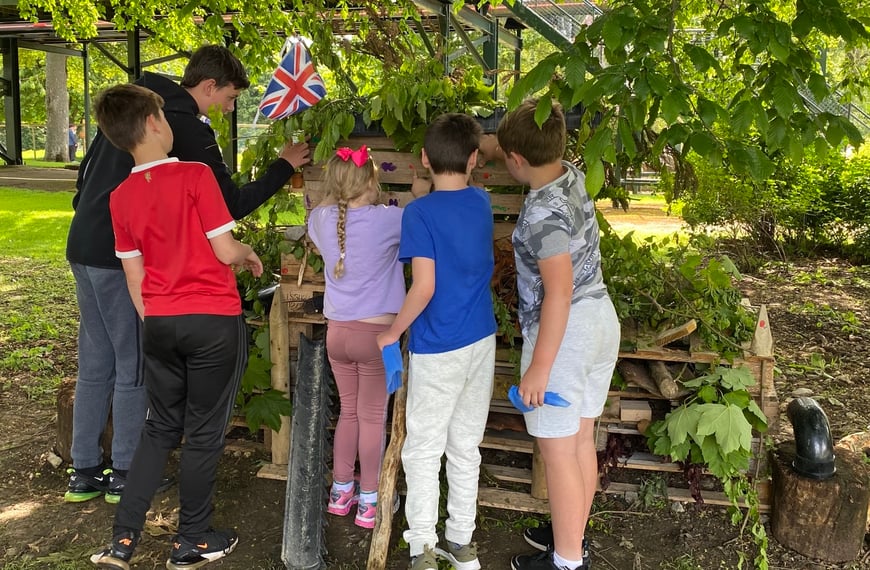 Building a Bug Hotel