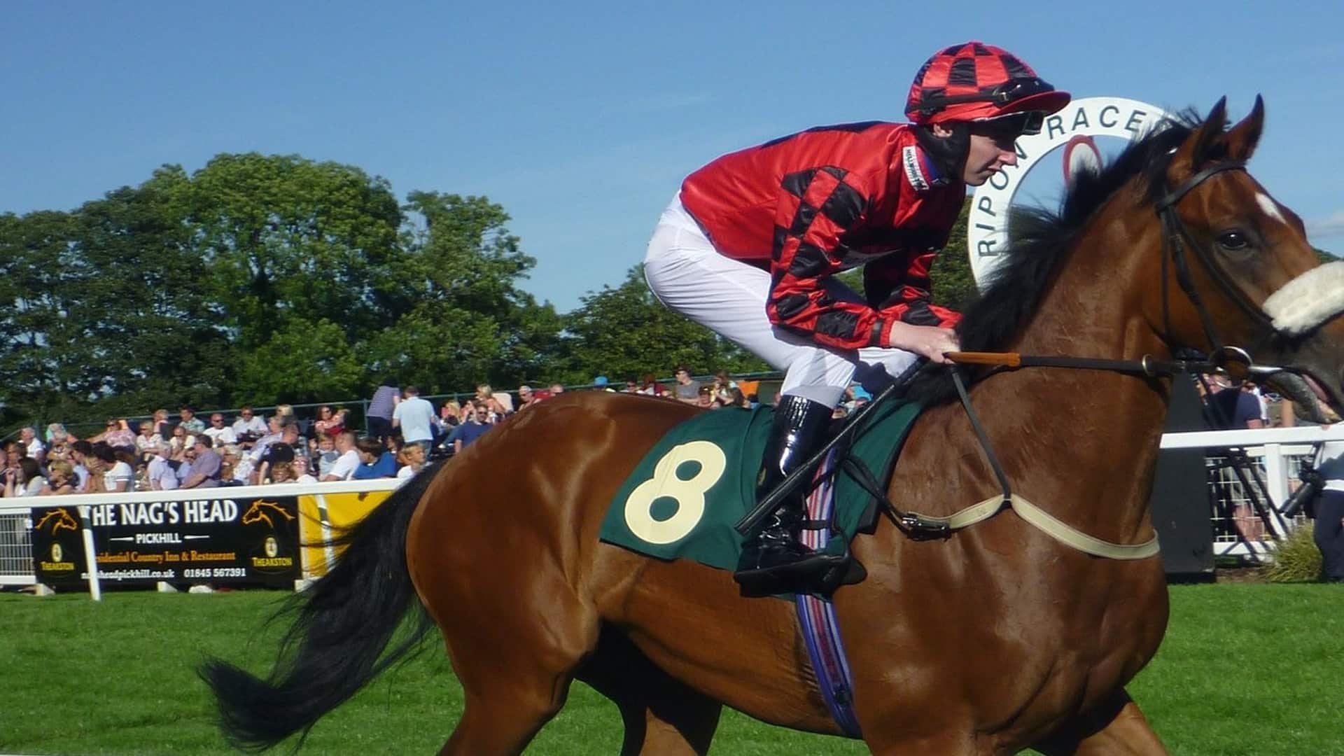 Ripon Races