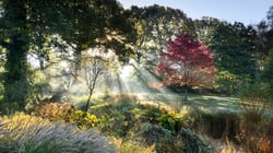 RHS Garden Rosemoor