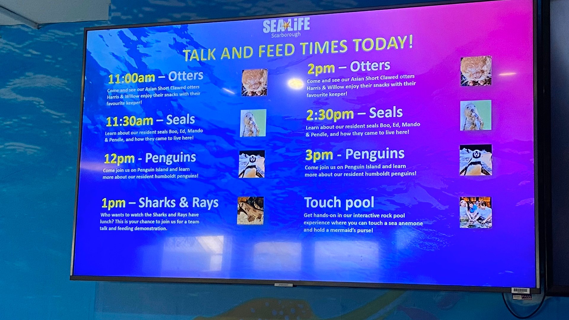 SEA LIFE Scarborough - Talk and Feed Times