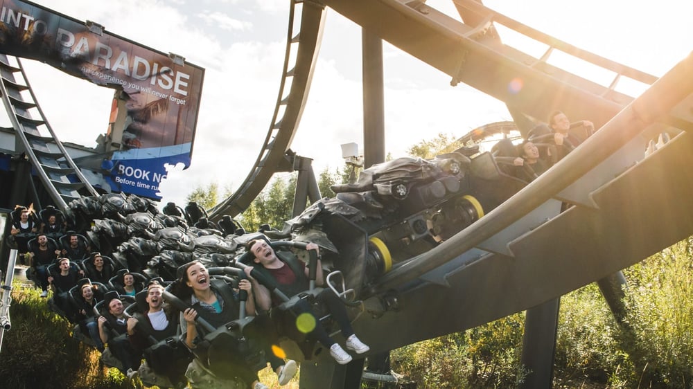 The Swarm - Into Paradise Billboard
