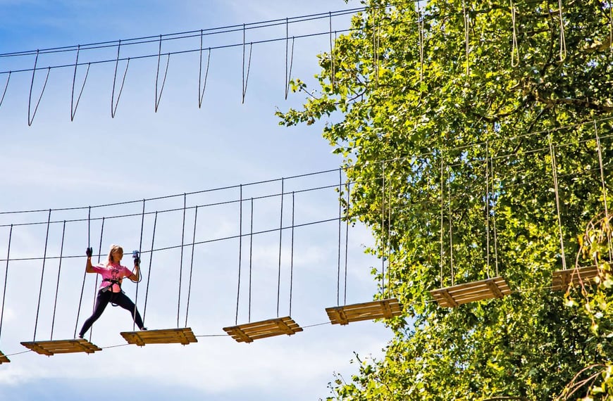 Go Ape Treetop Adventures