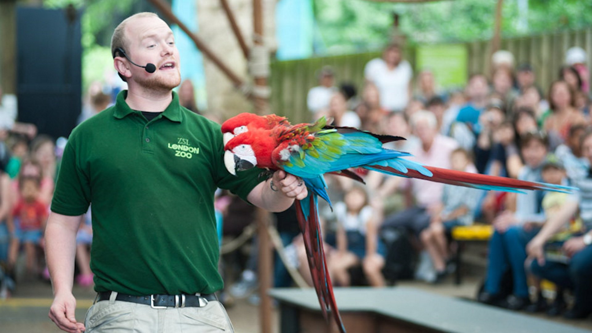 ZSL London Zoo - Animals in Action