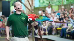ZSL London Zoo - Animals in Action