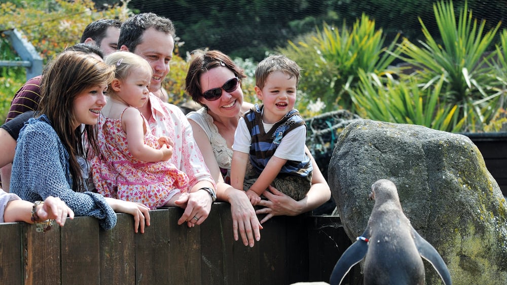 SEA LIFE - VIP Experiences