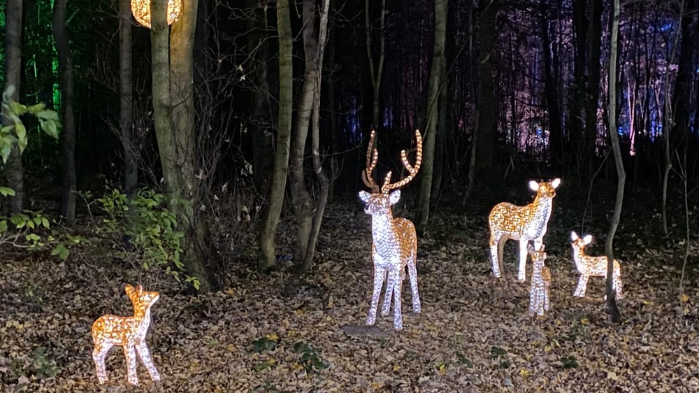 Stockeld Park - Christmas Adventure Reindeer Illuminations