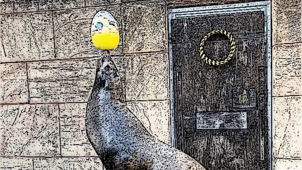 Easter Sealion Colouring Competition