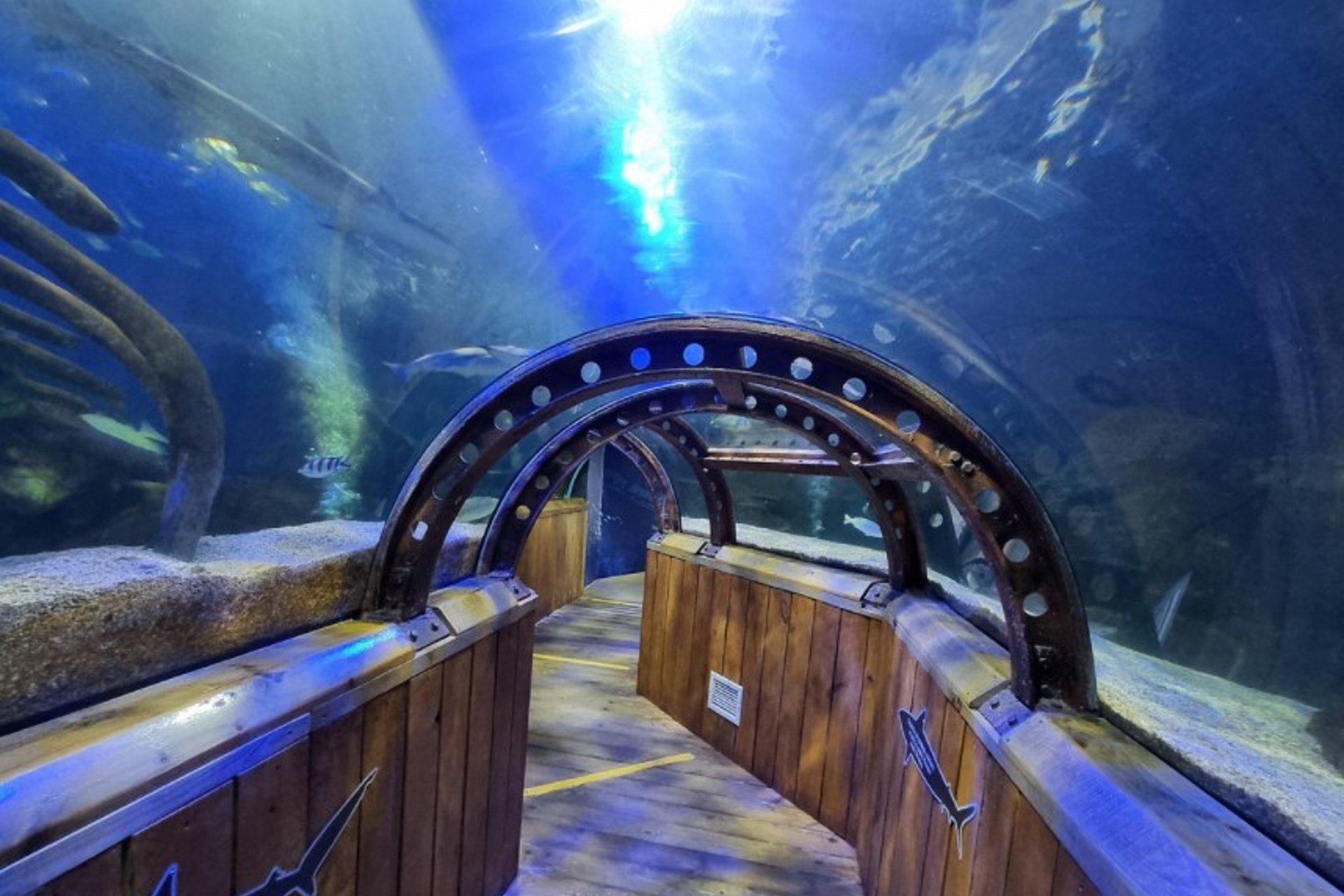 SEALIFE Huntstanton - Ocean Tunnel