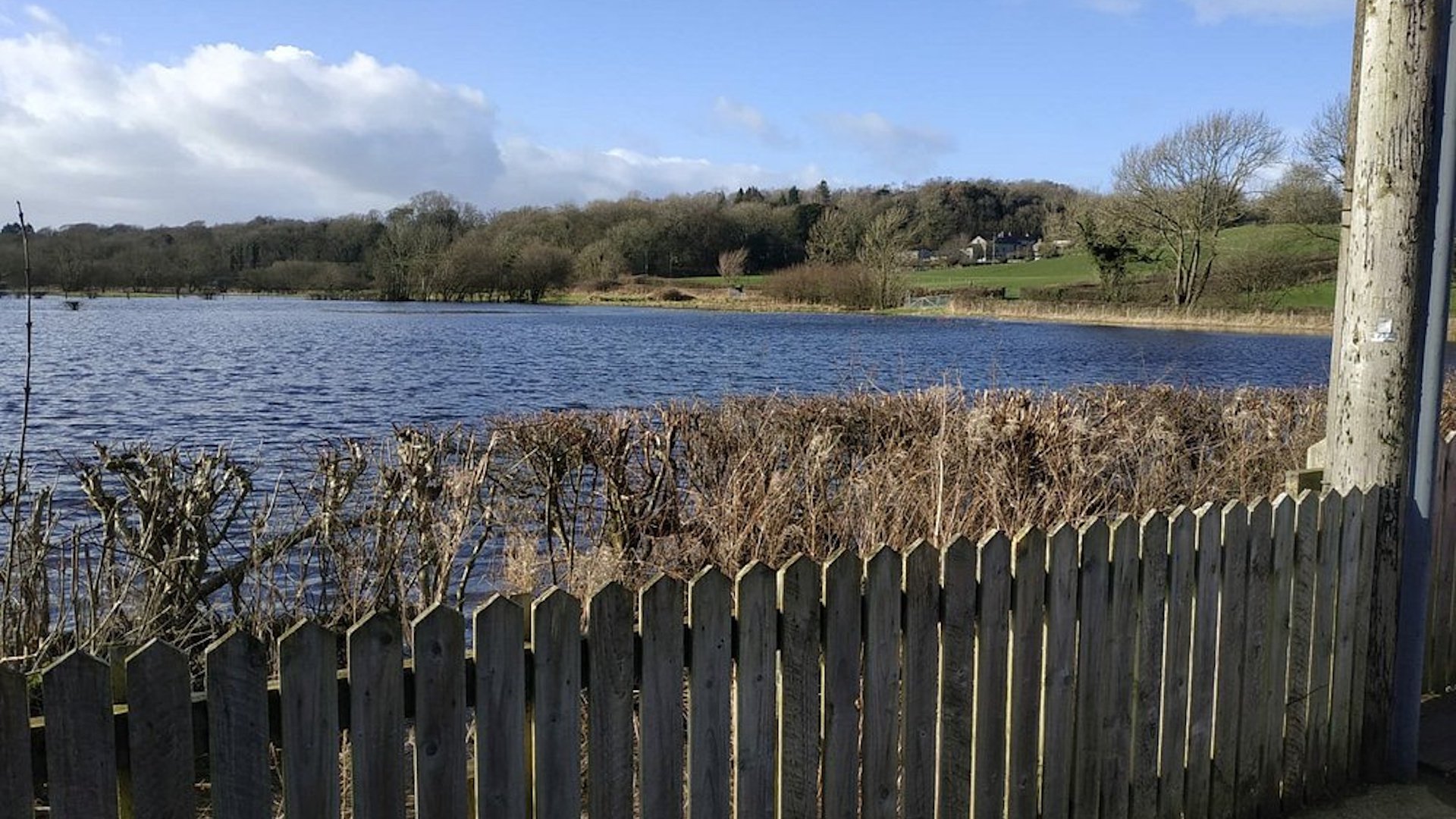 Lakeland Wildlife Oasis - Lake