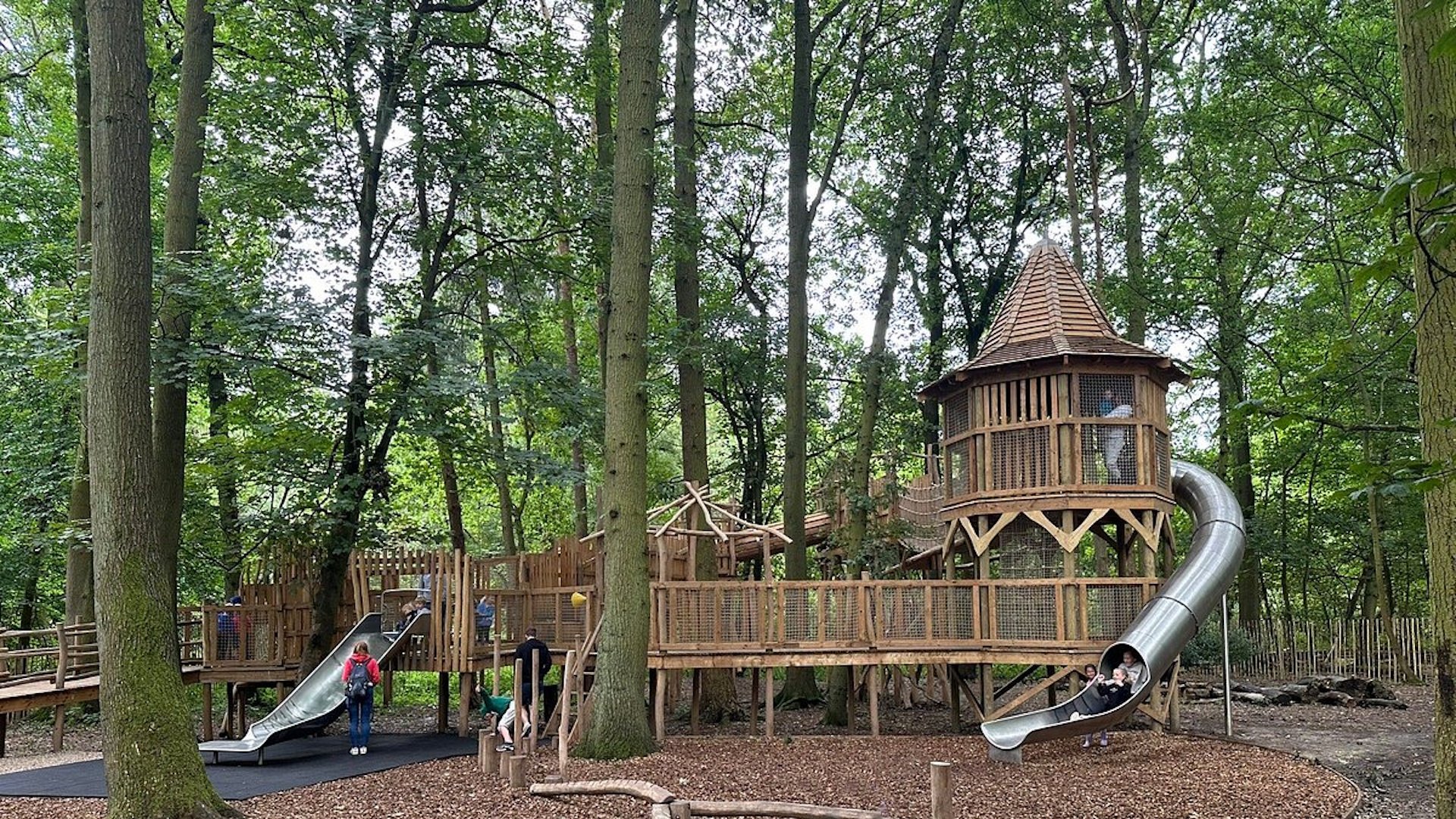Go Ape Coventry - Coombe Abbey Woodland Playground