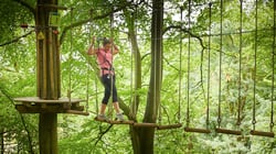 Go Ape Delamere Forest