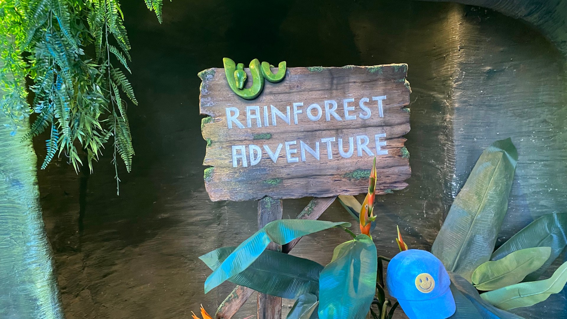 SEA LIFE Scarborough - Rainforest Adventure