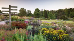 RHS Garden Harlow Carr