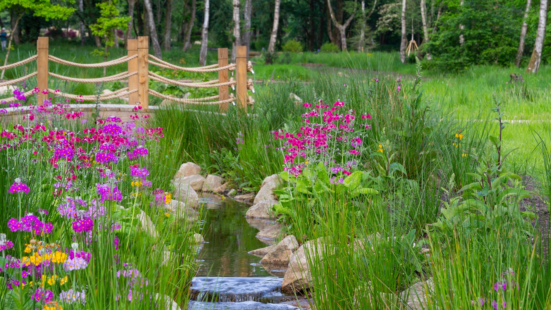 The Chinese Streamside Garden at RHS garden Bridgewater