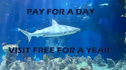 Pay for a Day Visit Free for a Year