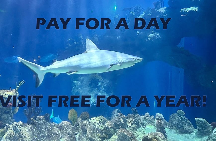 Pay for a Day Visit Free for a Year