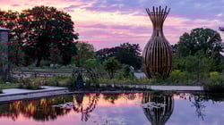 RHS Wisley - Hilltop – The Home of Gardening Science. The Wildlife Garden