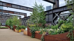 Castlefield Viaduct - Flowers