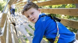 Go Ape Whinlatter Forest